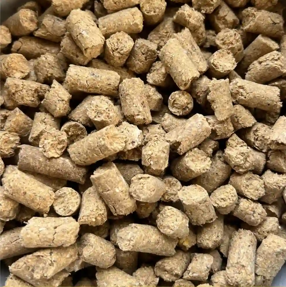 Pure ingredients – no adulteration